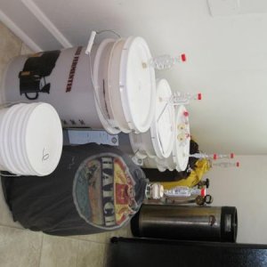 ferment