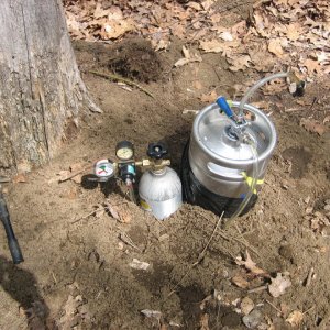 BeerTree