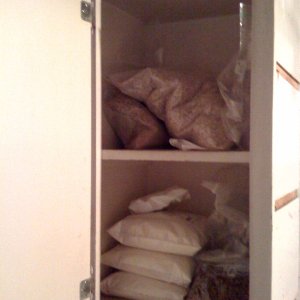 ingredients2