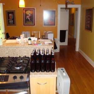 DSC004211