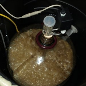 MansfieldBrewDay