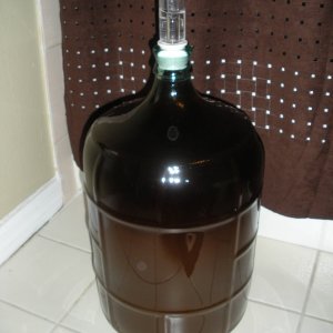 Carboy7