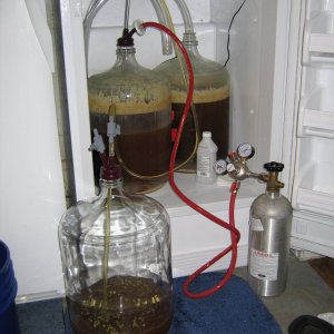 CO2 push onto dryhops