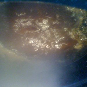 Firstbrew