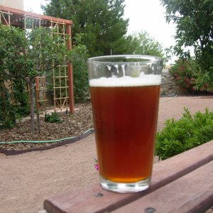 homebrewwithhopsinbackground