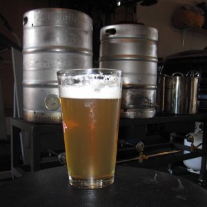 kolschwithnewbrewstand