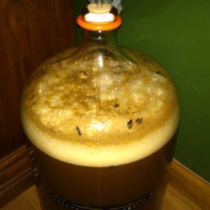 FirstBrewIPA
