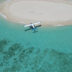 own_island