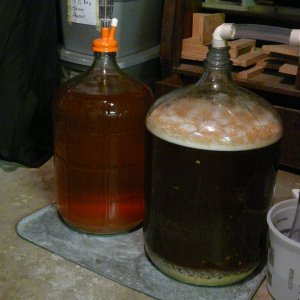 ApfelweinandPlinyclone