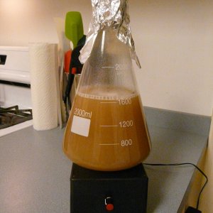 Yeaststarterandhomemadestirplate