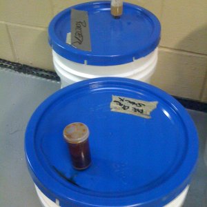 BrewRageAleFermentationDay2