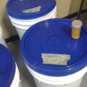 BrewRageAleFermentationDay2