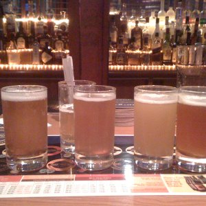 BrewerkzSampler