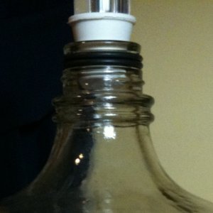 carboy_o-rings