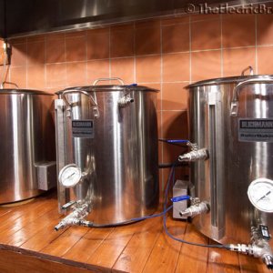 TheElectricBrewerycom