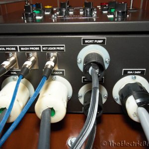 TheElectricBrewerycom