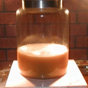 IIPA_Starter