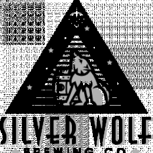 logo-web_SWB