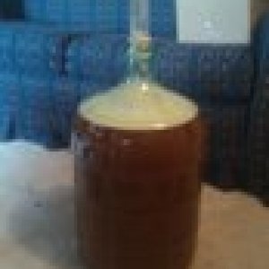 1stbrew