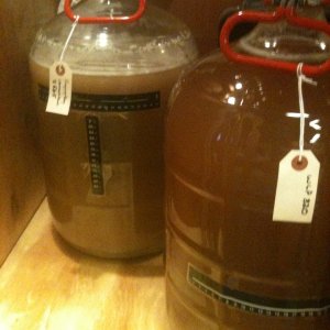 AmericanWheatbeerexperiment