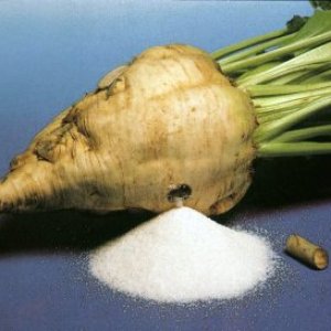 SugarBeet