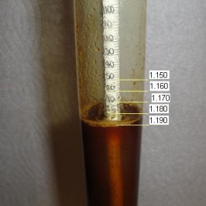 Hydrometerreading