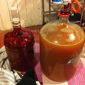 cider1