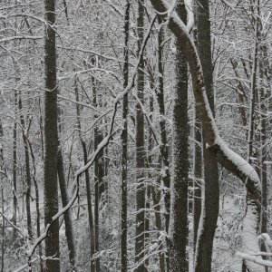 IMG_26631