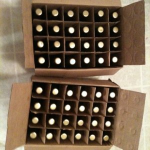 162859_471958514926_691964926_5255693_1187941_n