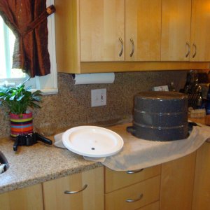 DSC004201