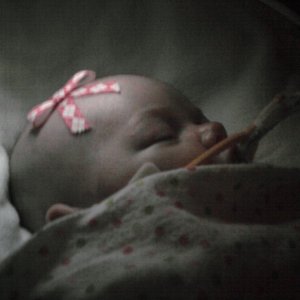 Photo0667