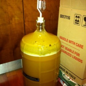 Firstbatchfermenting
