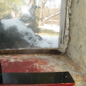 DSCN4849