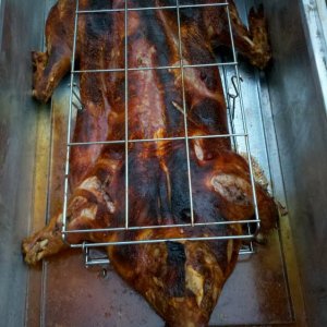SuperBowlPig