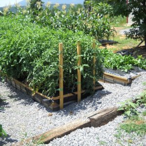 Garden2