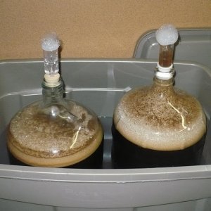 FirstAGRobustPorter