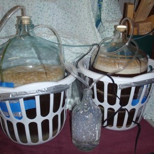 BrewRig