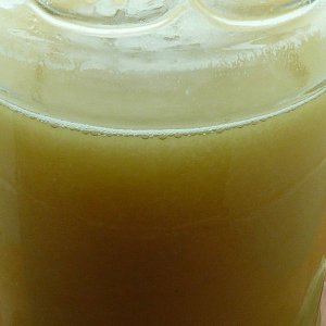 YeaststarteronaDIYstirplate