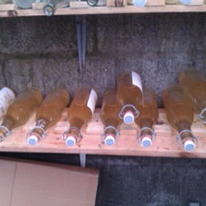 homemadewinecellaler