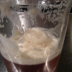 Jan_12_2011_pics_085