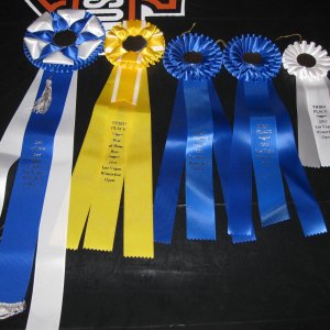 BestofShowinLasVegasWinterfestCompetition2011