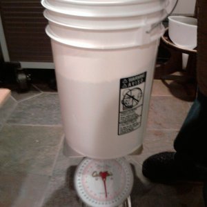 weighing