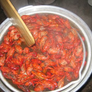 Mmmcrawfish