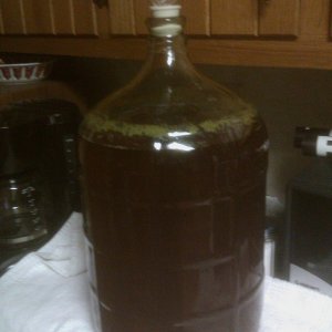Hefereadytobottle