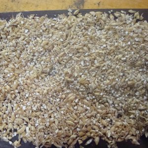 grain12