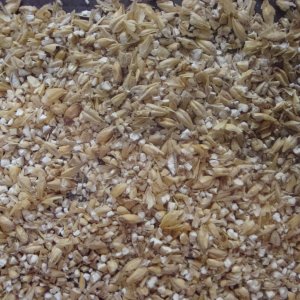 grain21