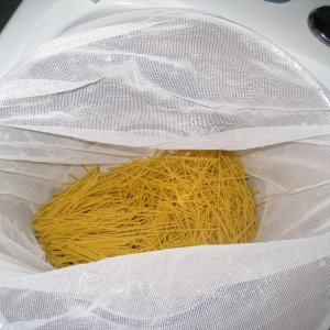 SpaghettiWheat-TakeTwo