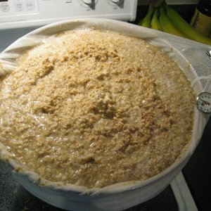 SpaghettiWheat-TakeTwo
