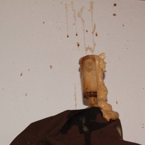 DSC050221