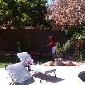 wife_mows_the_yard_2